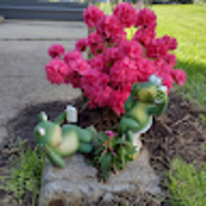 Meet your Posher, Donna